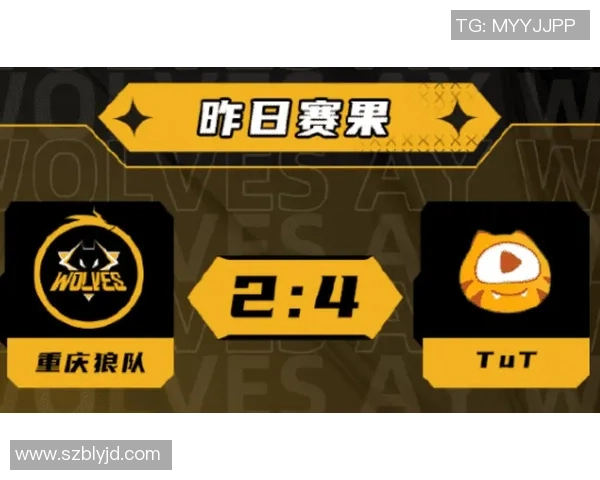 独家解析：TES战队比赛经验与对手的全面对比分析