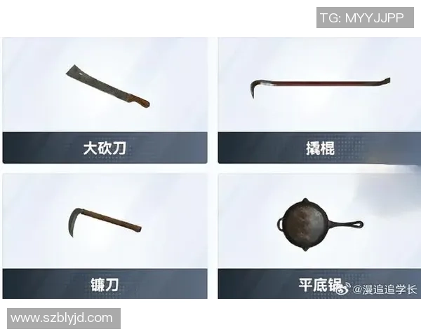 和平精英装备选购指南：最佳游戏手柄推荐与使用技巧分享