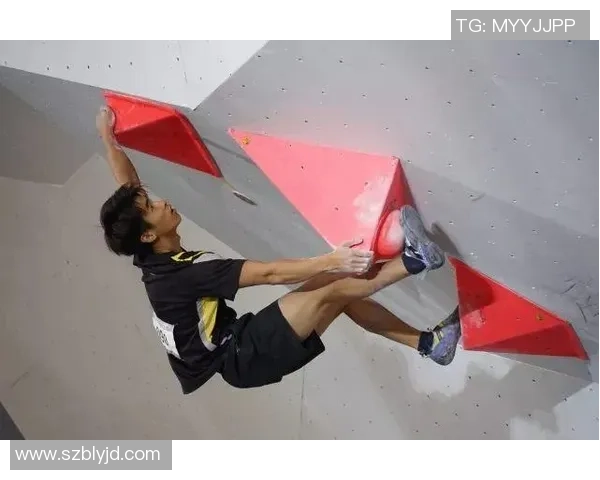 南京攀岩队在比赛中的防守表现分析与战术调整探讨