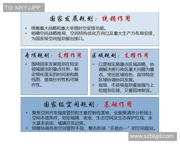 探索都市足球系统的多元发展与未来趋势分析