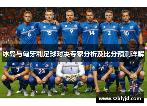 冰岛与匈牙利足球对决专家分析及比分预测详解