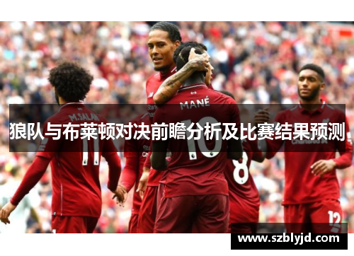 狼队与布莱顿对决前瞻分析及比赛结果预测